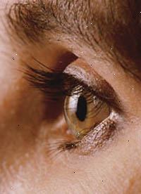 Imagem de um olho, close-up, externo