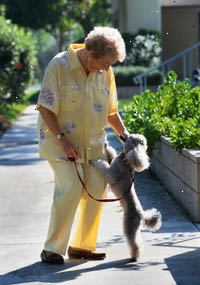 Imagem de uma mulher idosa que anda seu cão