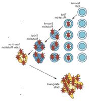 Mutação genética ilustração célula demonstrando