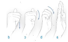 Mão / dedo tendão glide