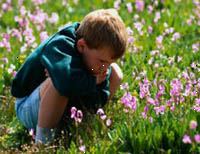 Imagem do menino sentado em um campo de flores silvestres