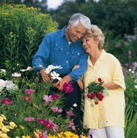 A foto de um casal de idosos em um jardim